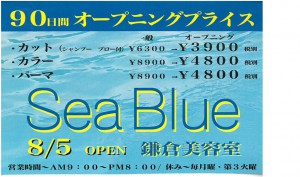sea blue葉書