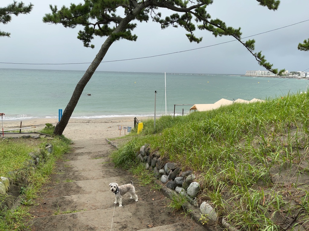 新たな日課、夜の趣味タイム!