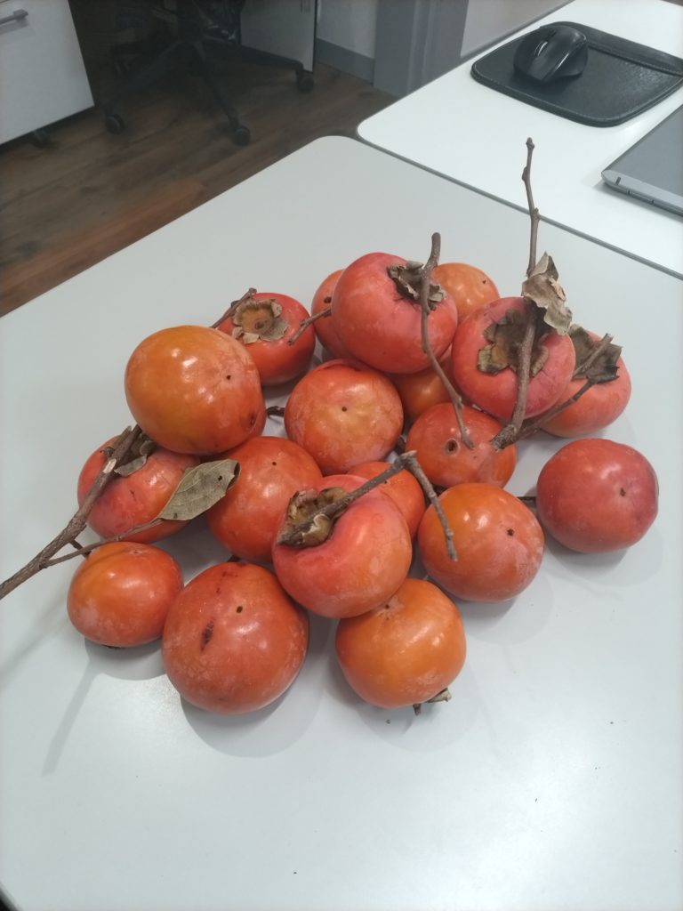 秋の味覚　富有柿