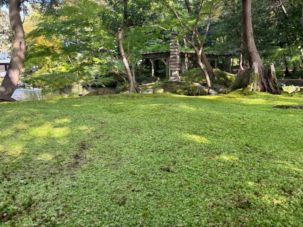 【第二弾 建築放浪旅(石川・岐阜)】