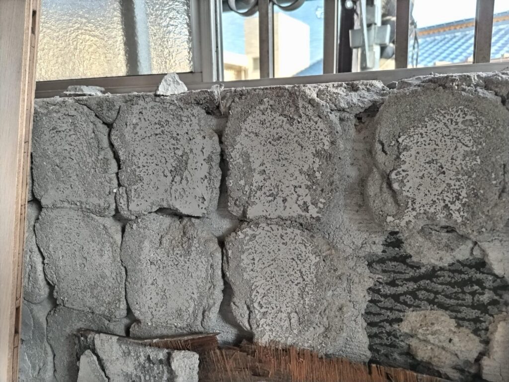 久しぶりに見ました